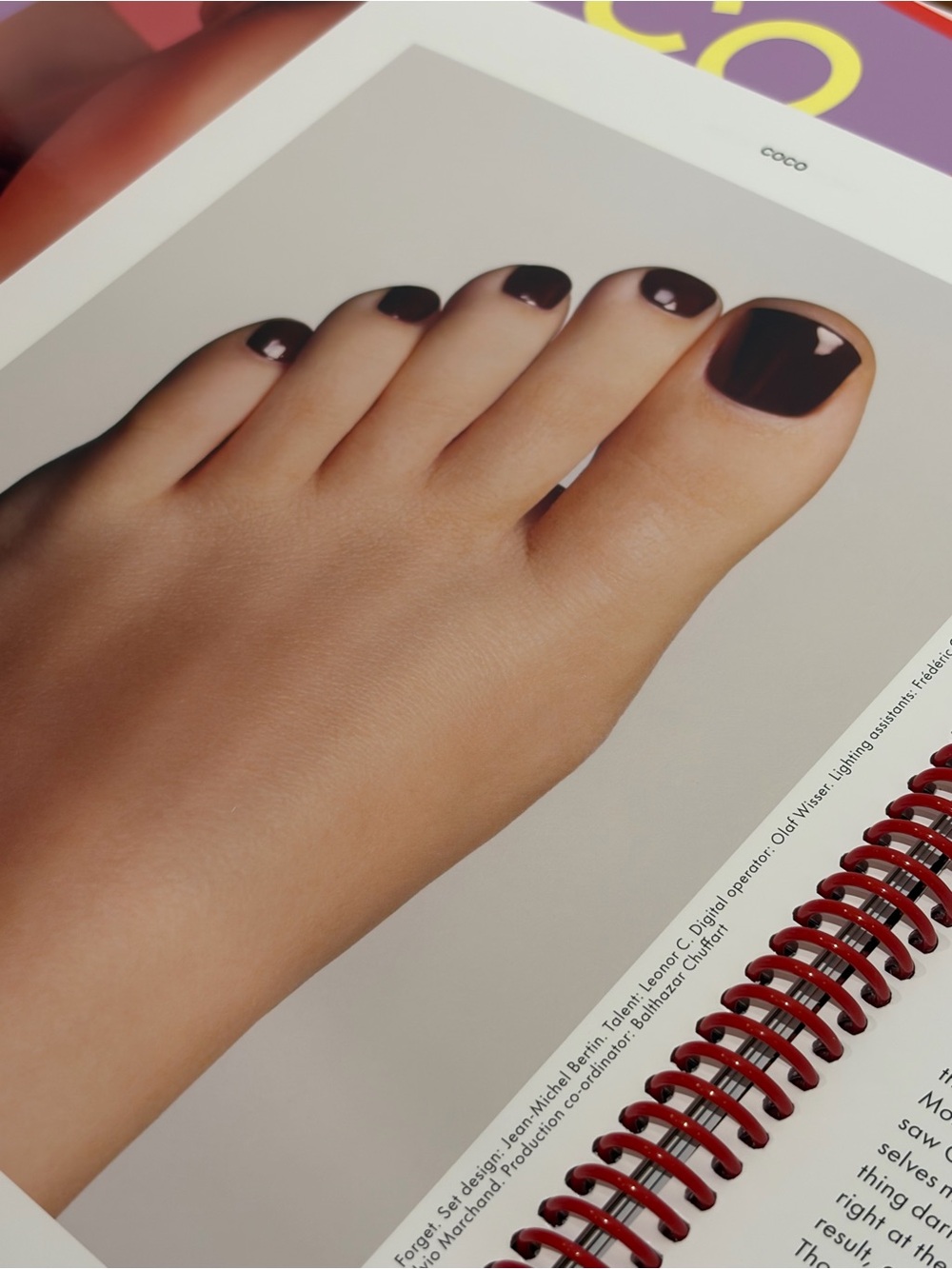 CHANEL Rouge Noir collection ROUGE NOIR Nail #397 Limited Edition
